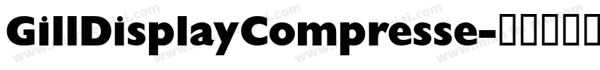 GillDisplayCompresse字体转换