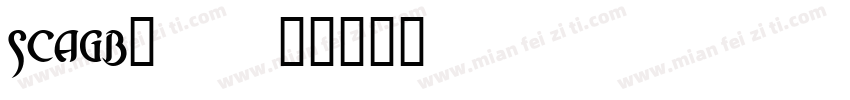 scagb_0字体转换