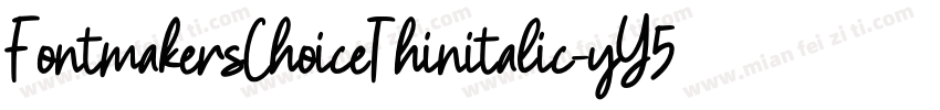 FontmakersChoiceThinitalic-yY5Y字体转换