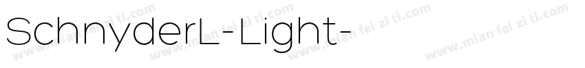 SchnyderL-Light字体转换