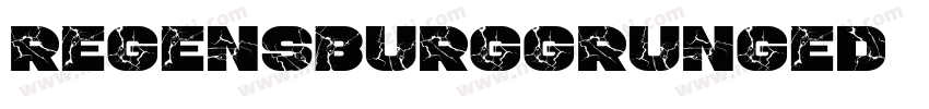 RegensburgGrunged字体转换