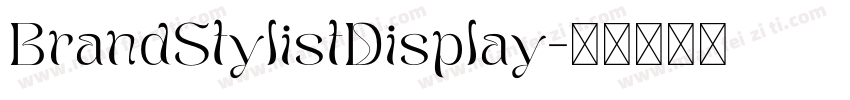 BrandStylistDisplay字体转换