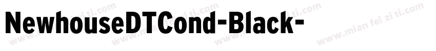 NewhouseDTCond-Black字体转换