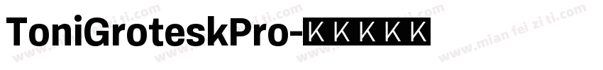 ToniGroteskPro字体转换