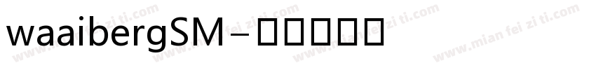 waaibergSM字体转换
