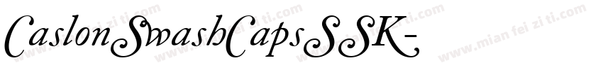 CaslonSwashCapsSSK字体转换