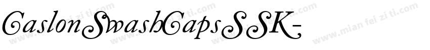 CaslonSwashCapsSSK字体转换