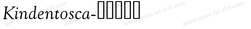 Kindentosca字体转换