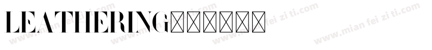 Leathering字体转换
