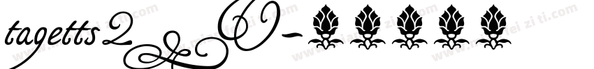 tagetts2_U字体转换