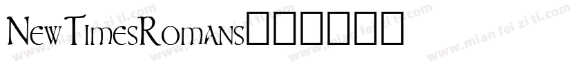 NewTimesRomans字体转换