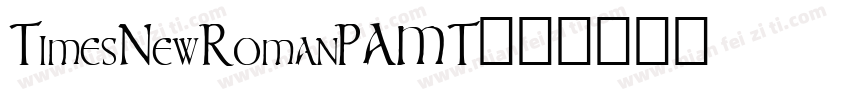 TimesNewRomanPAMT字体转换