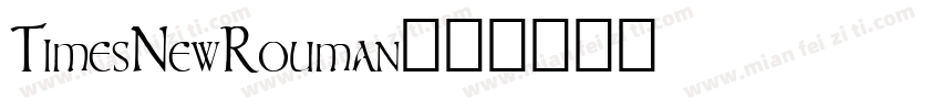 TimesNewRouman字体转换