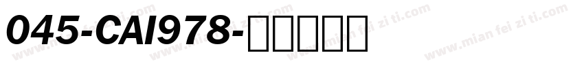 045-CAI978字体转换
