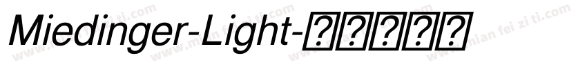 Miedinger-Light字体转换