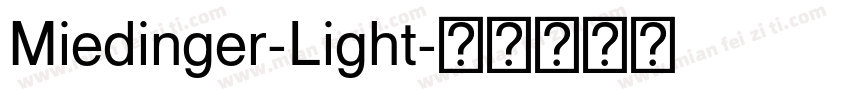 Miedinger-Light字体转换