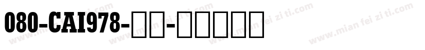 080-CAI978-普通字体转换