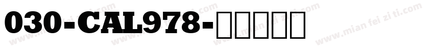 030-CAL978字体转换
