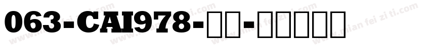 063-CAI978-普通字体转换