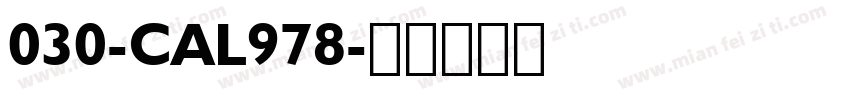 030-CAL978字体转换