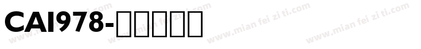CAI978字体转换