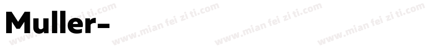 Muller字体转换
