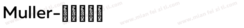 Muller字体转换