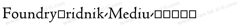 FoundryGridnik-Mediu字体转换