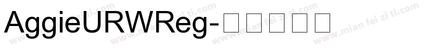 AggieURWReg字体转换