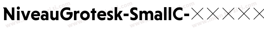 NiveauGrotesk-SmallC字体转换