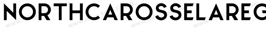 NorthCarosselaRegular字体转换