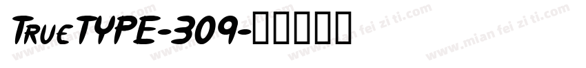 TrueTYPE-309字体转换