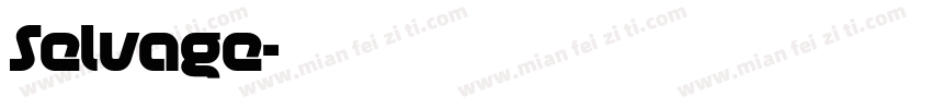 Selvage字体转换