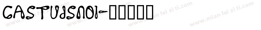 castudsno1字体转换