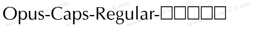 Opus-Caps-Regular字体转换