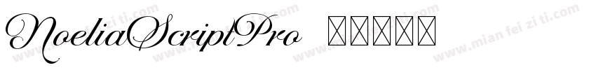 NoeliaScriptPro字体转换