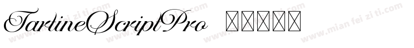 TartineScriptPro字体转换