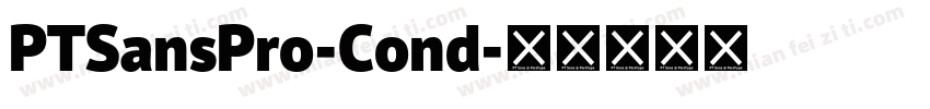 PTSansPro-Cond字体转换