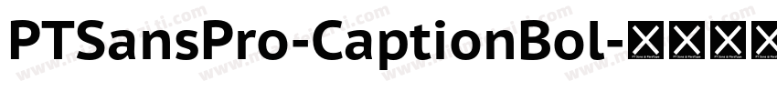 PTSansPro-CaptionBol字体转换