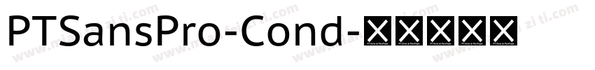 PTSansPro-Cond字体转换
