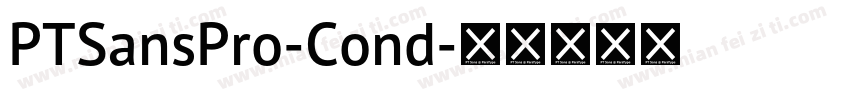 PTSansPro-Cond字体转换