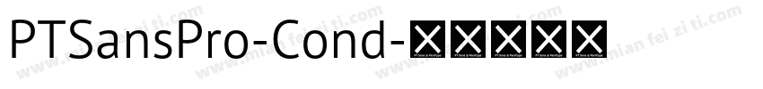 PTSansPro-Cond字体转换