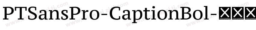 PTSansPro-CaptionBol字体转换