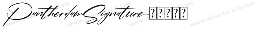 PantherdamSignature字体转换