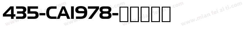 435-CAI978字体转换