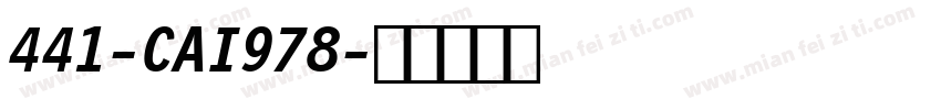 441-CAI978字体转换