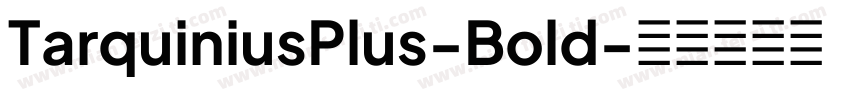 TarquiniusPlus-Bold字体转换