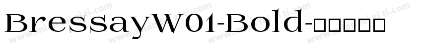 BressayW01-Bold字体转换