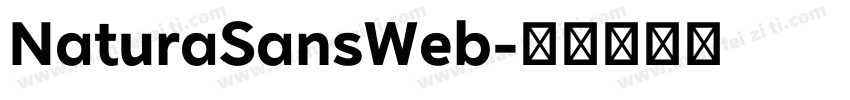 NaturaSansWeb字体转换