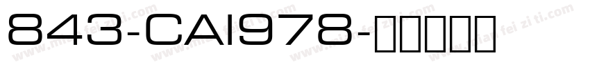 843-CAI978字体转换